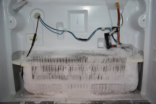 Vị trí cầu chì nhiệt tủ lạnh tại ngăn đá
